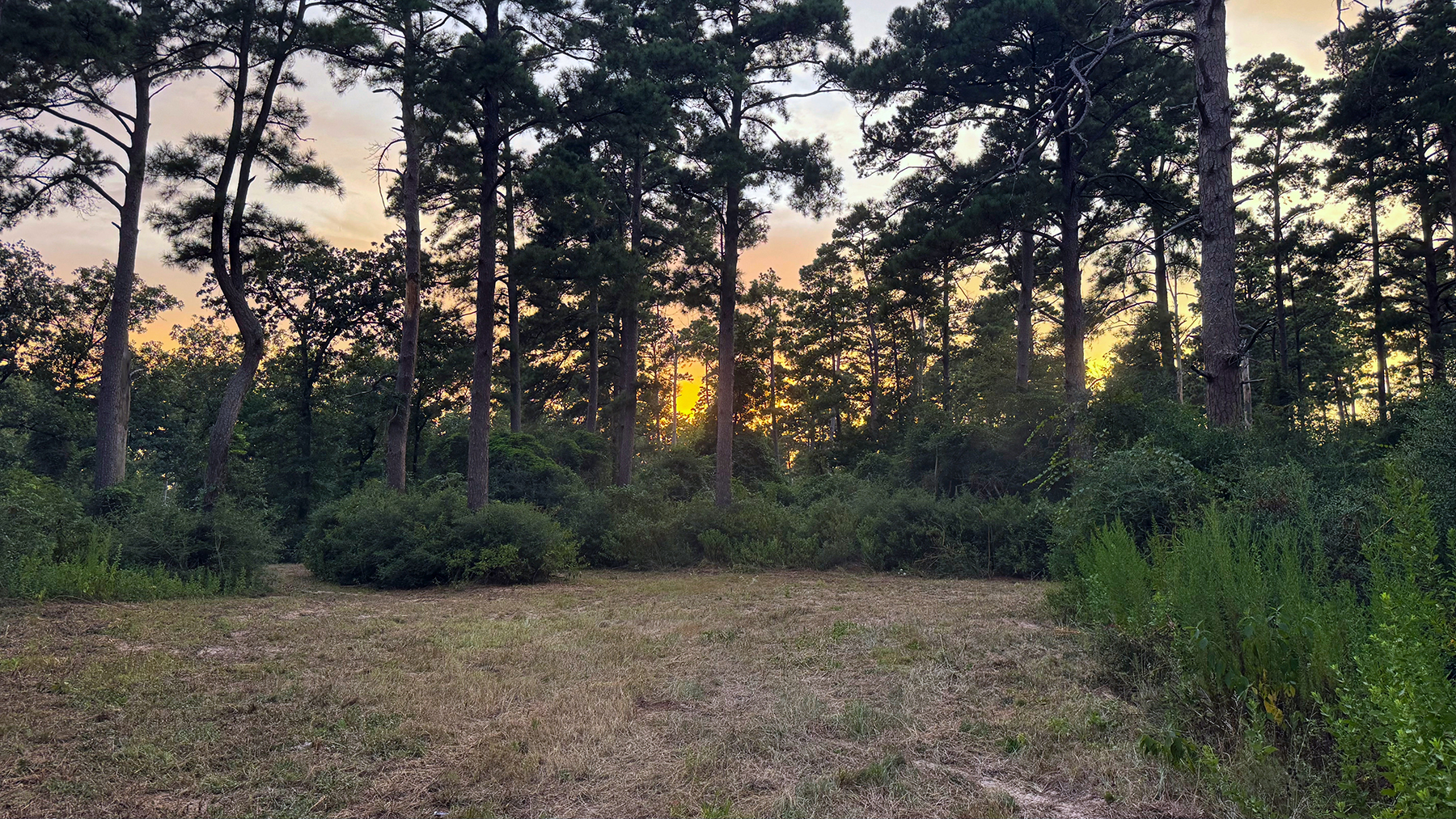 High Pines Reserve property picture 8 of 40