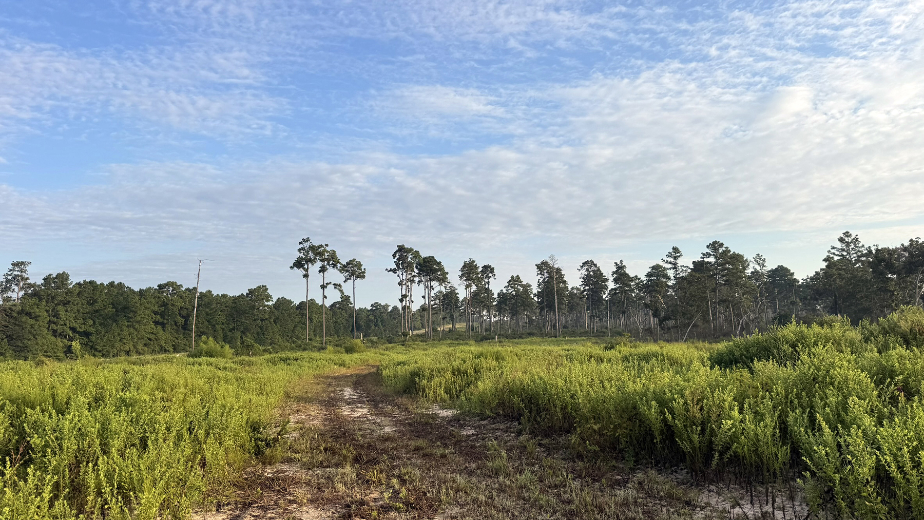 High Pines Reserve property picture 10 of 40