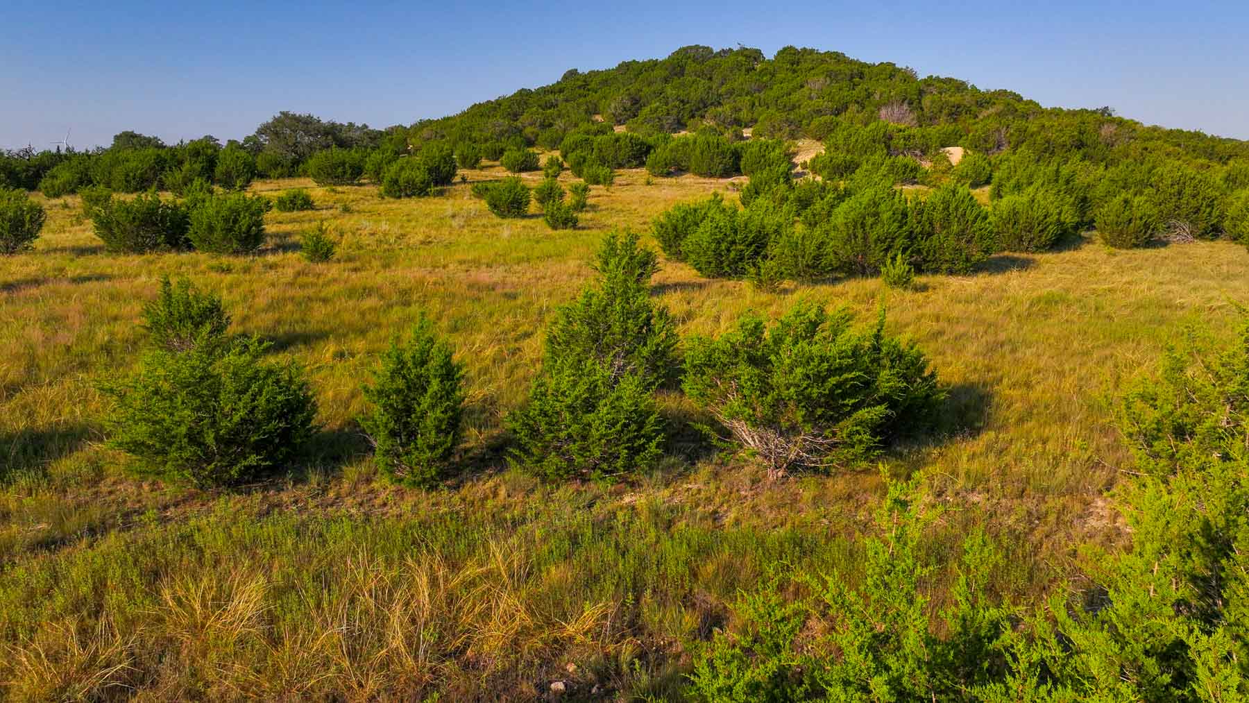 Horsefly Mountain Ranch property picture 60 of 85