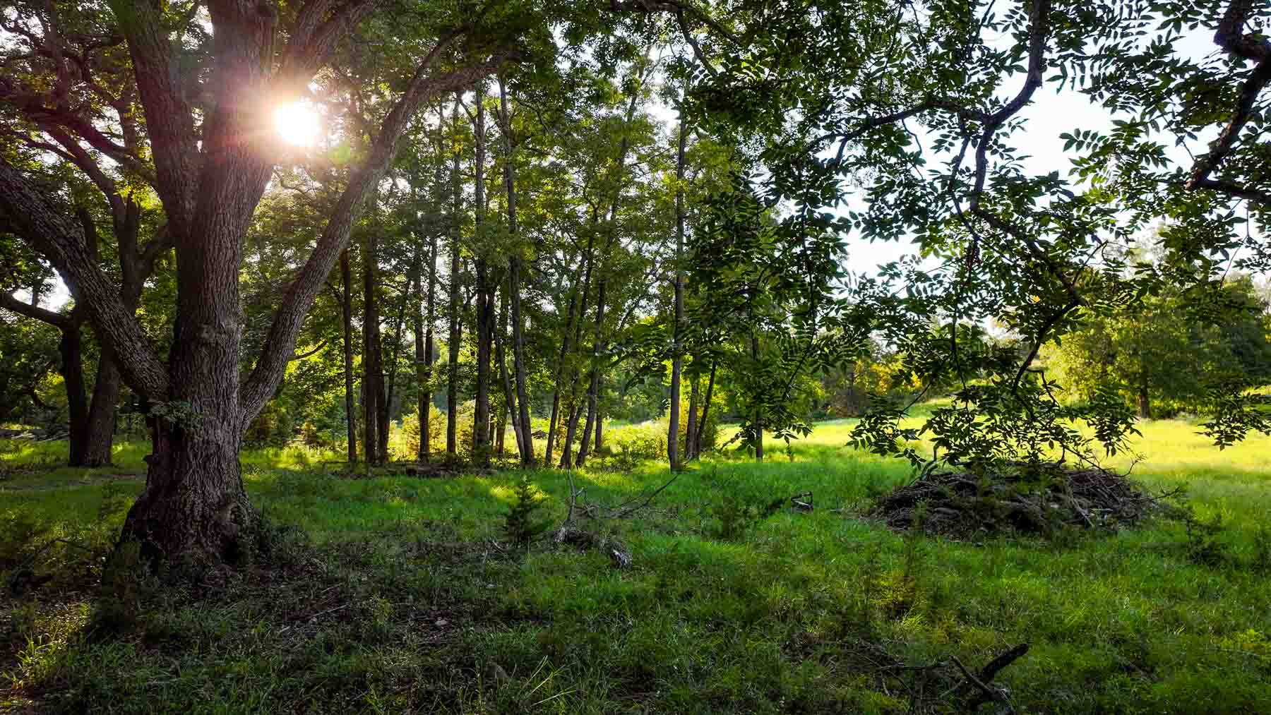 Horsefly Mountain Ranch property picture 50 of 85