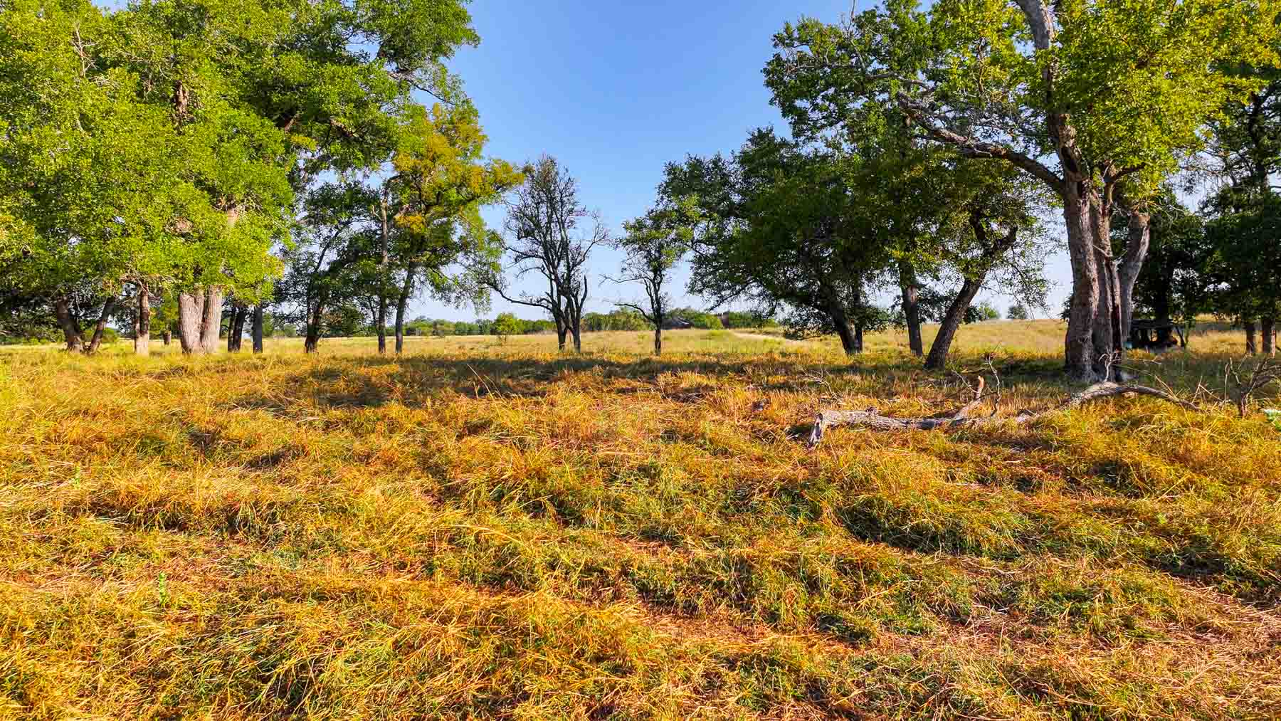 Horsefly Mountain Ranch property picture 59 of 85