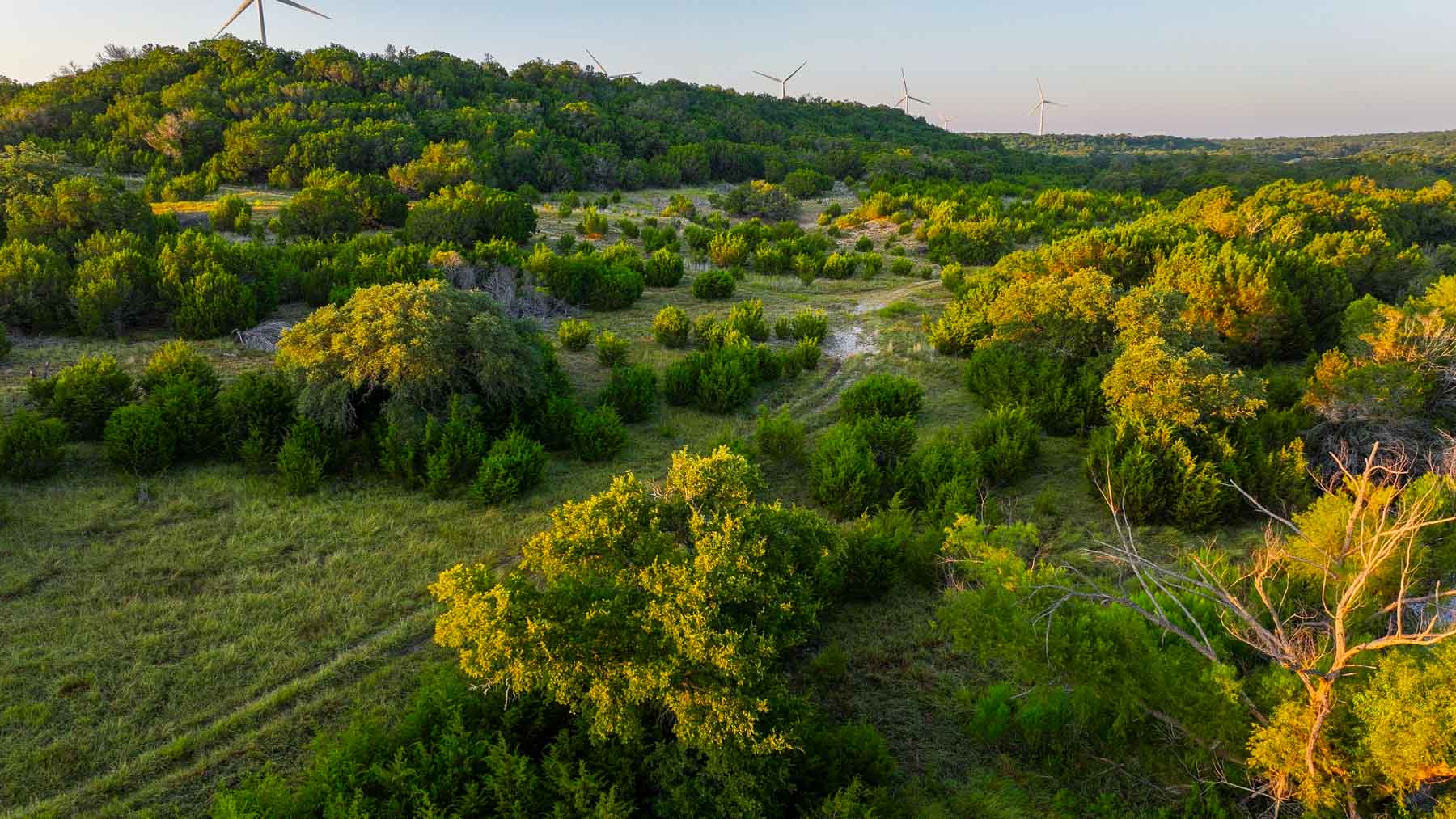 Horsefly Mountain Ranch property picture 34 of 85