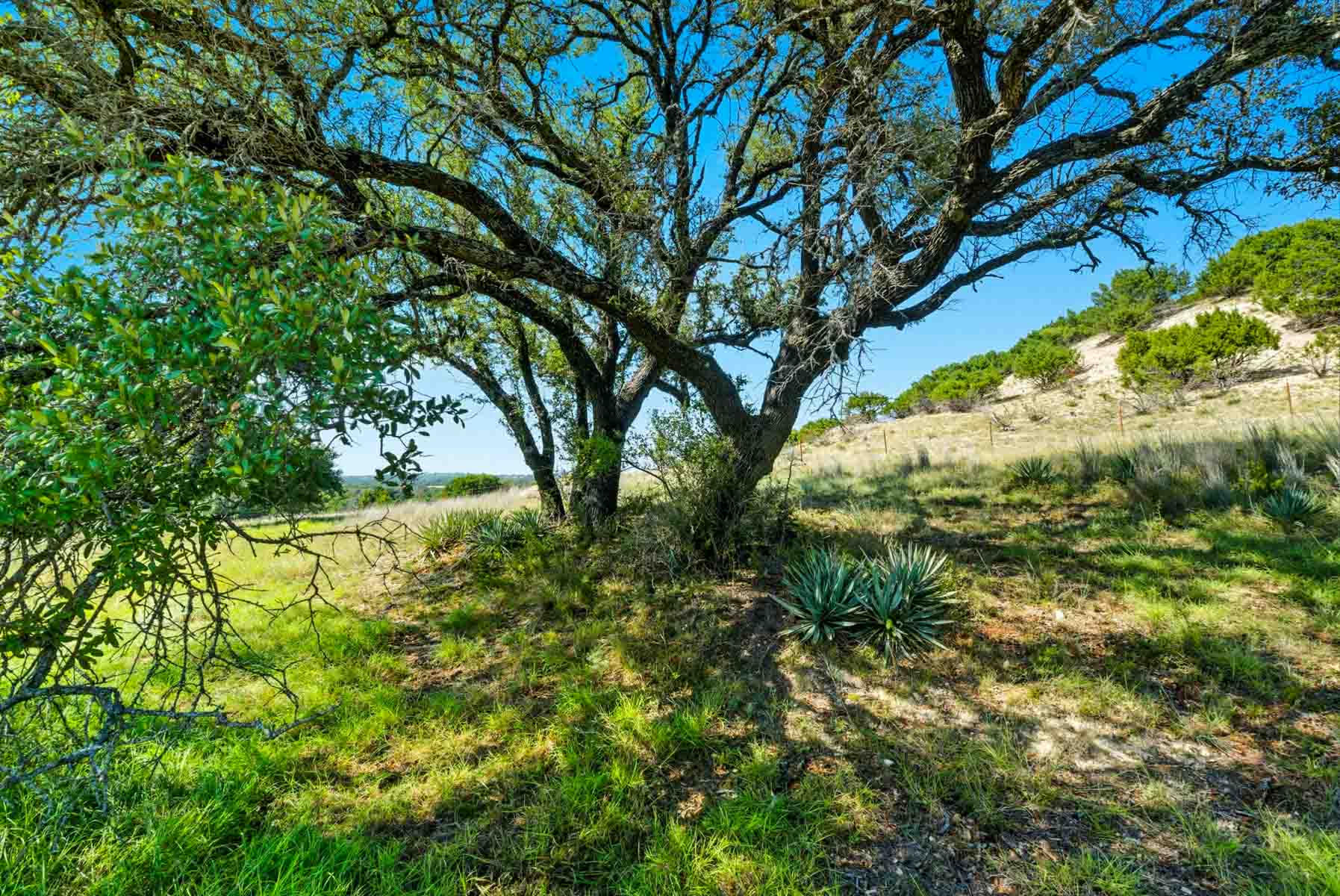 Horsefly Mountain Ranch property picture 84 of 85