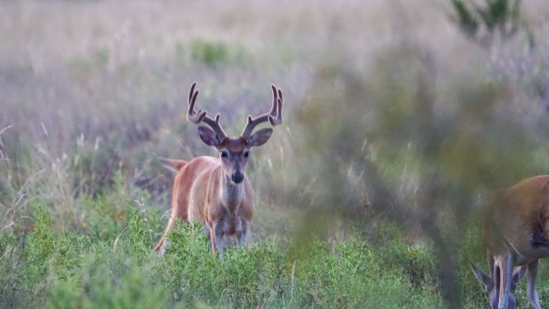 Horsefly Mountain Ranch property picture 25 of 85