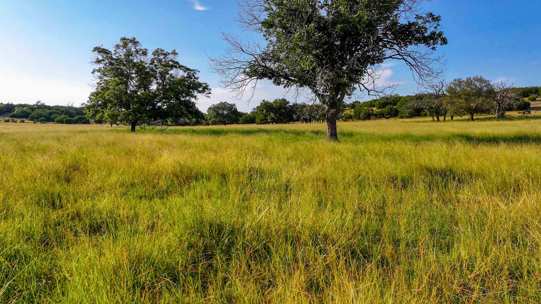 Horsefly Mountain Ranch property picture 49 of 85
