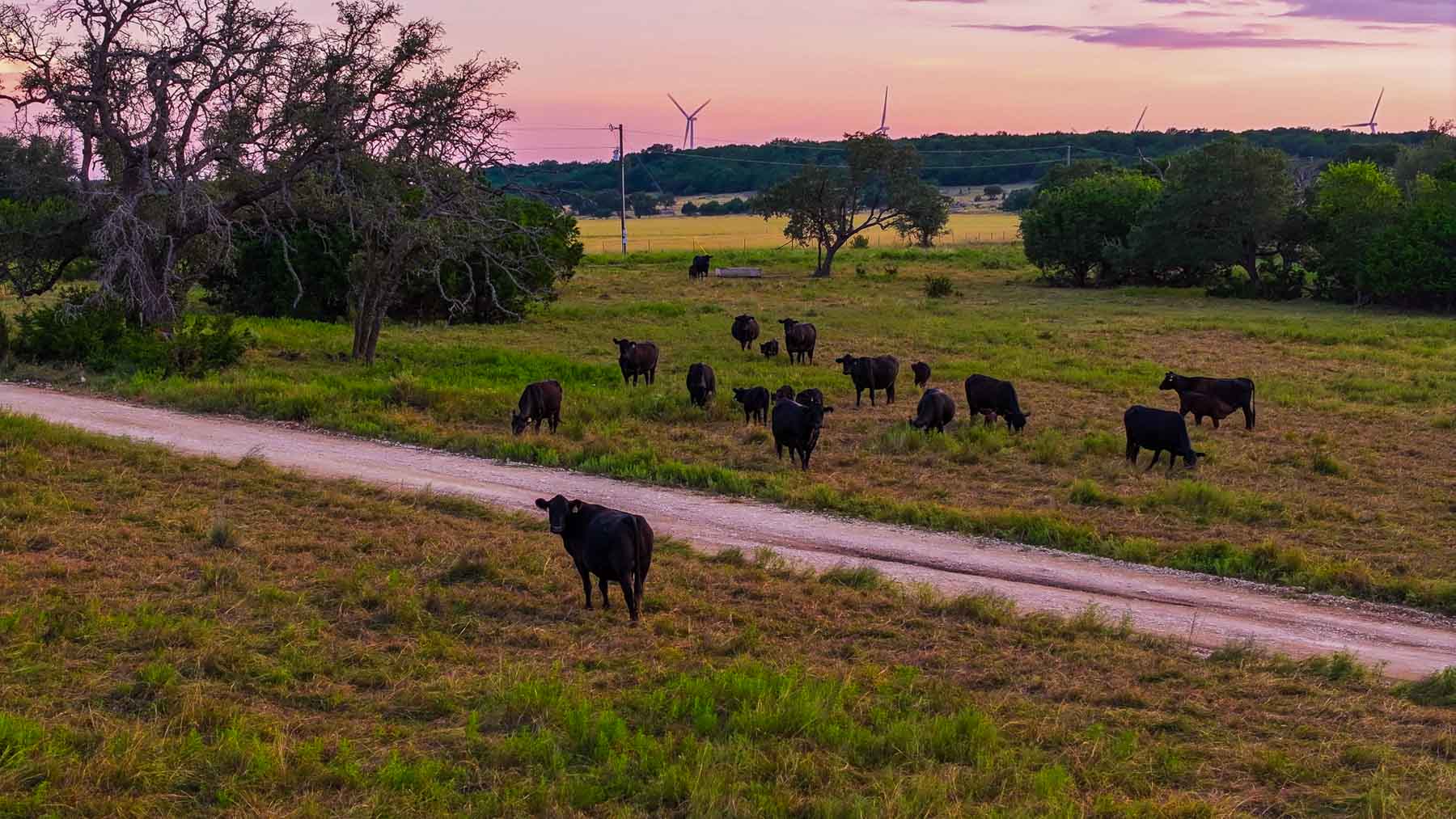 Horsefly Mountain Ranch property picture 32 of 85
