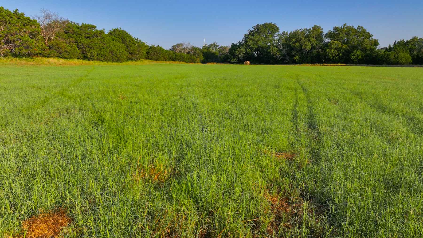 Horsefly Mountain Ranch property picture 37 of 85