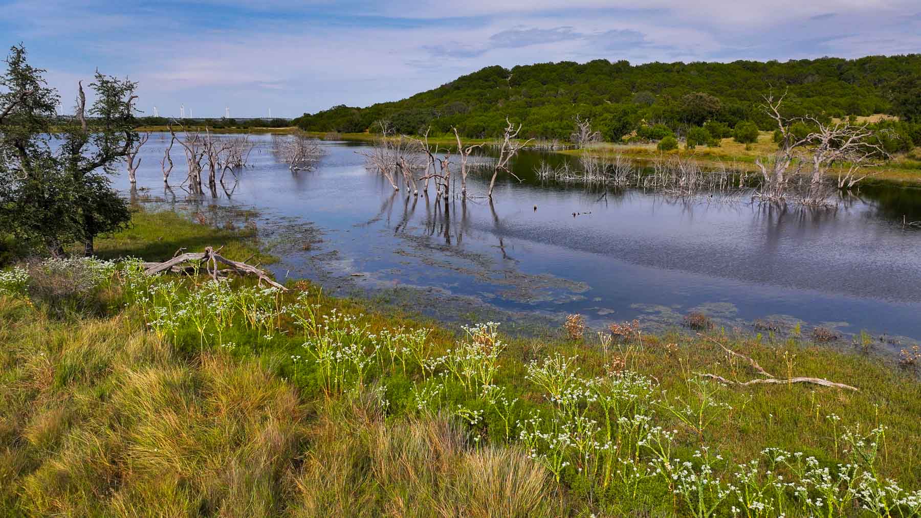 Horsefly Mountain Ranch property picture 18 of 85