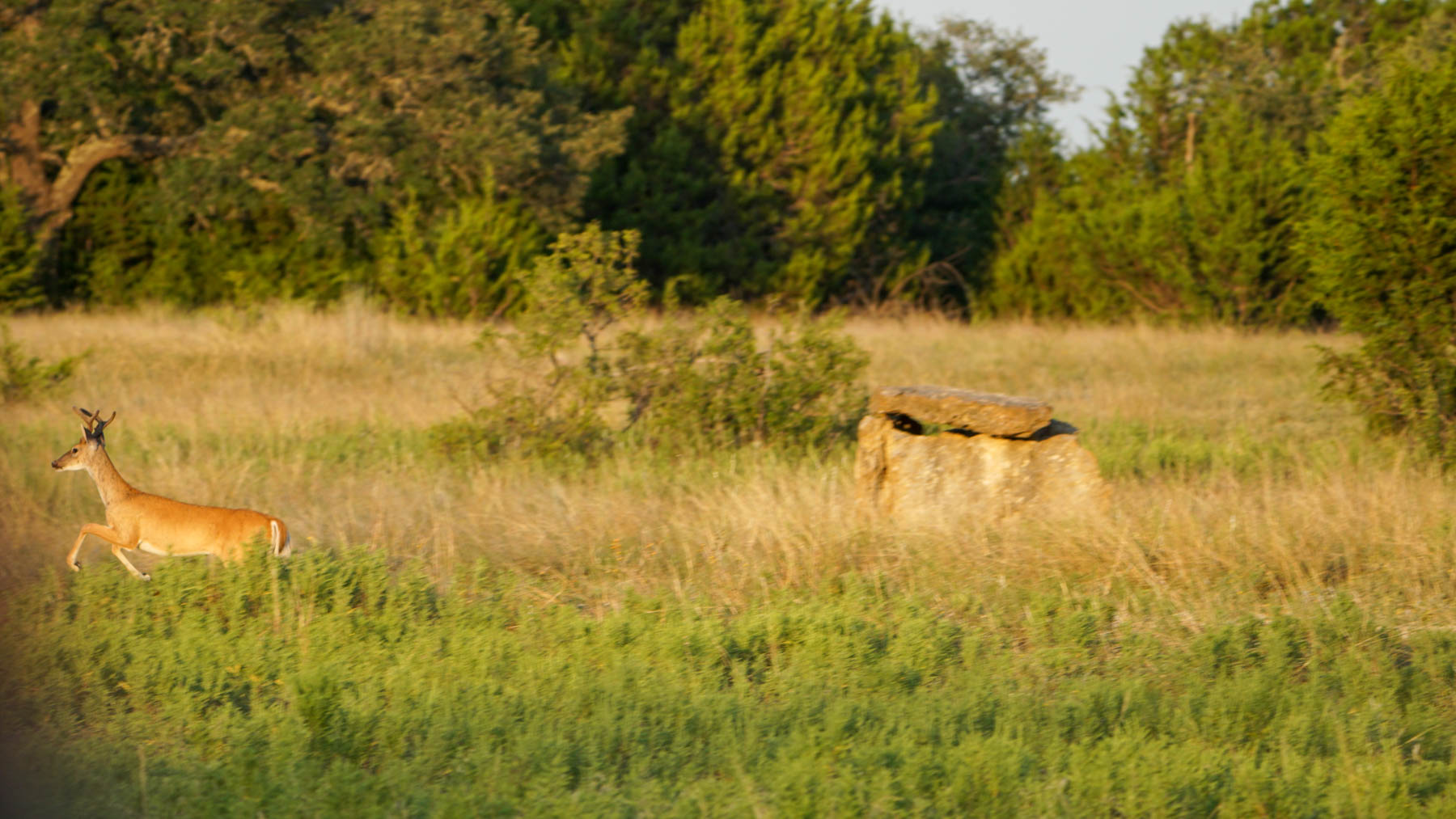 Horsefly Mountain Ranch property picture 56 of 85