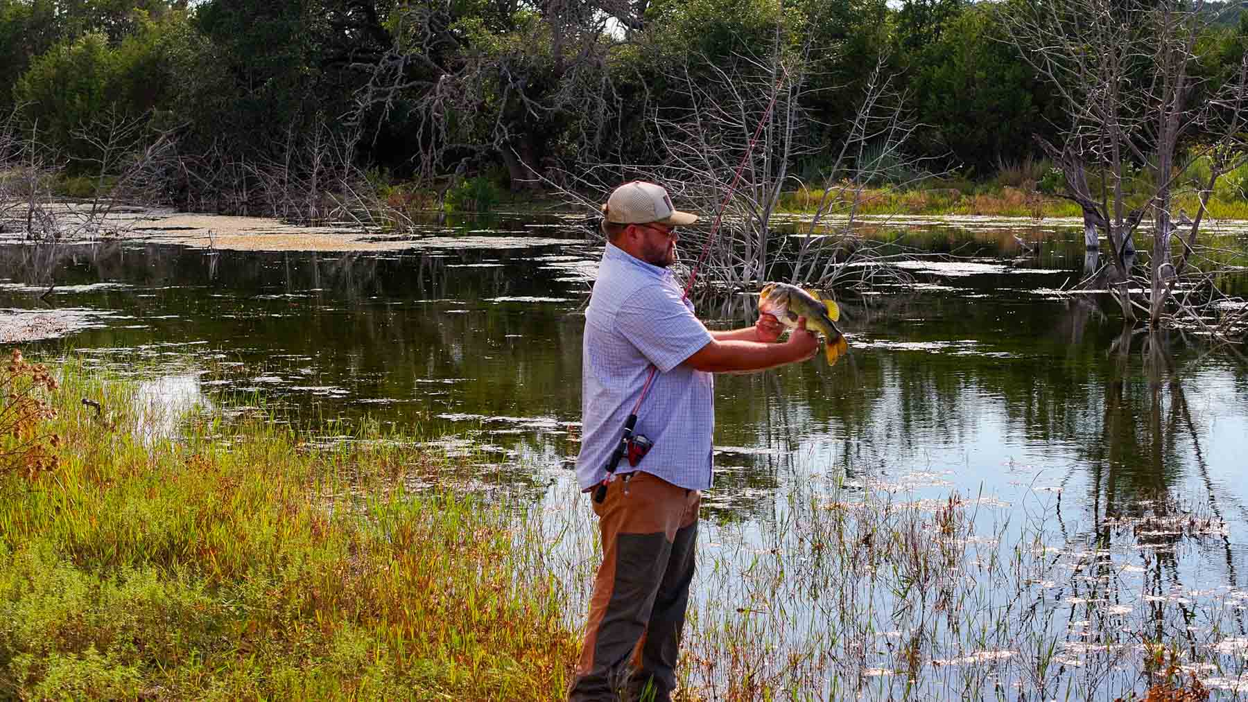 Horsefly Mountain Ranch property picture 17 of 85