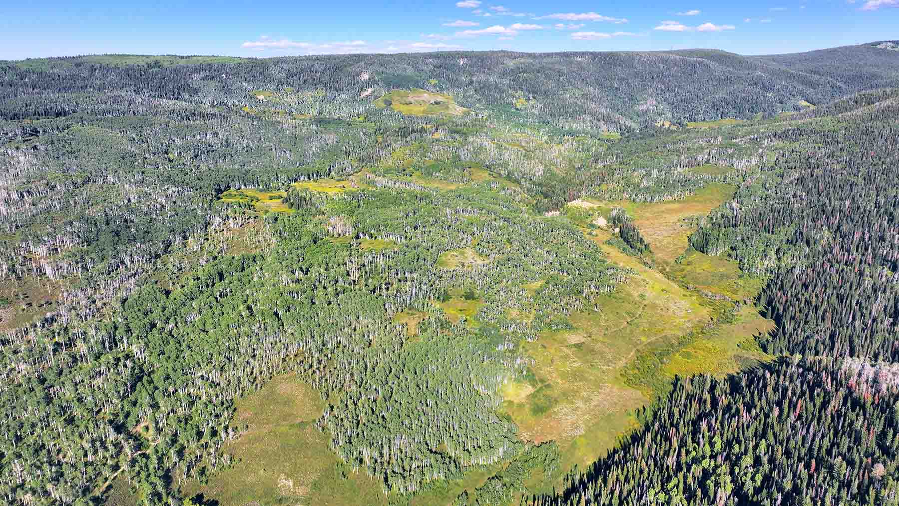 Eagle Rock Ranch property picture 64 of 67