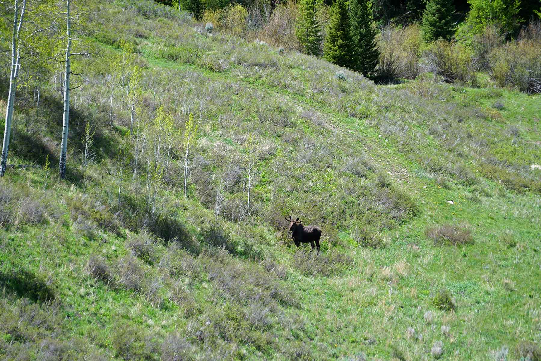 Eagle Rock Ranch property picture 47 of 71