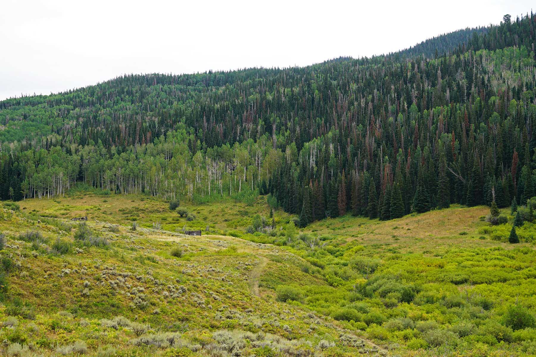 Eagle Rock Ranch property picture 40 of 67