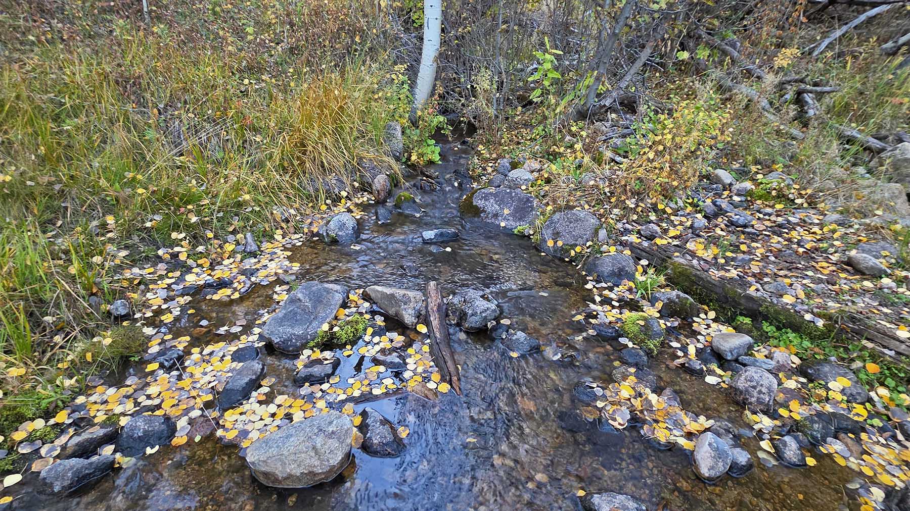 Eagle Rock Ranch property picture 75 of 91
