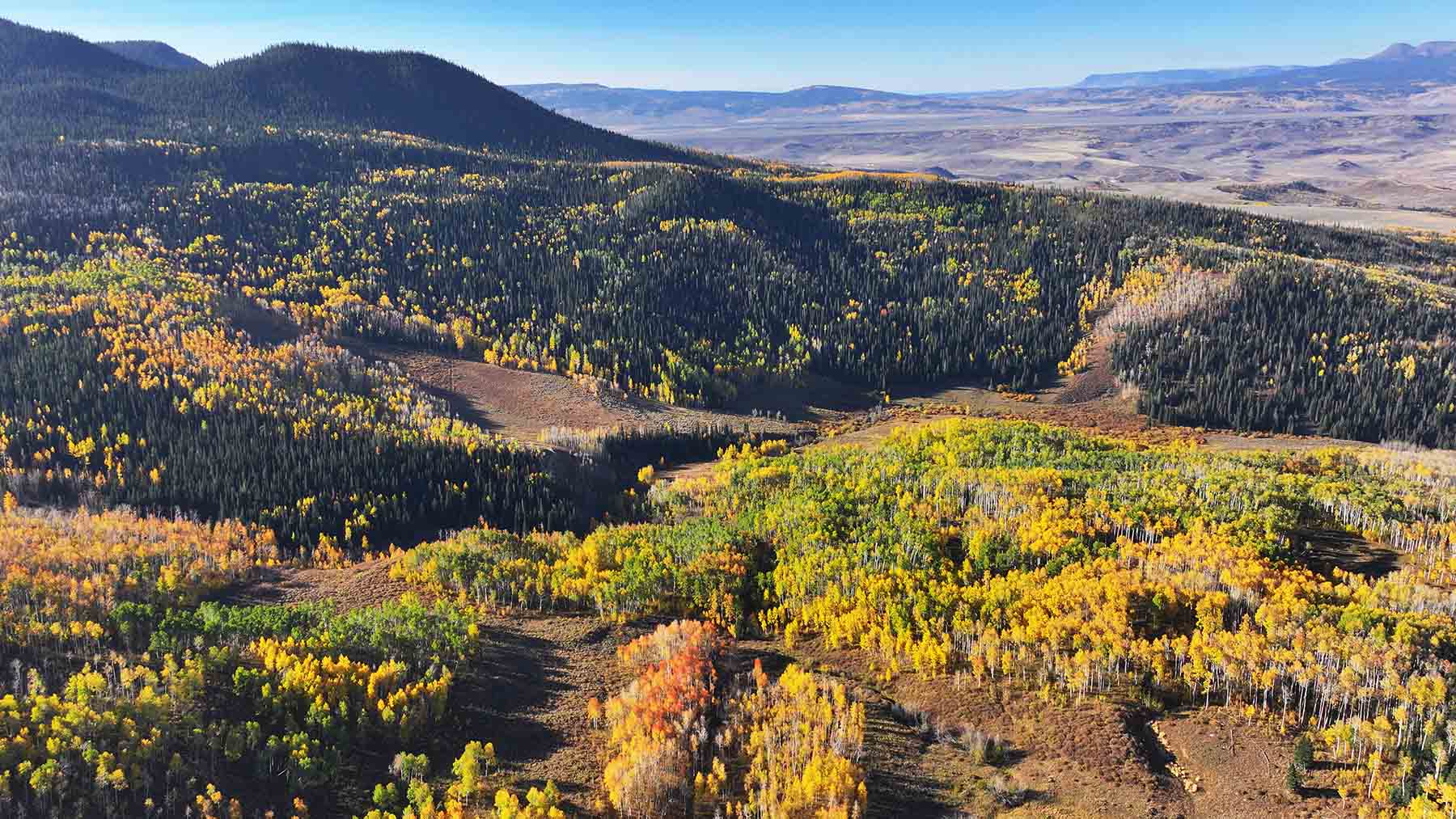 Eagle Rock Ranch property picture 37 of 67