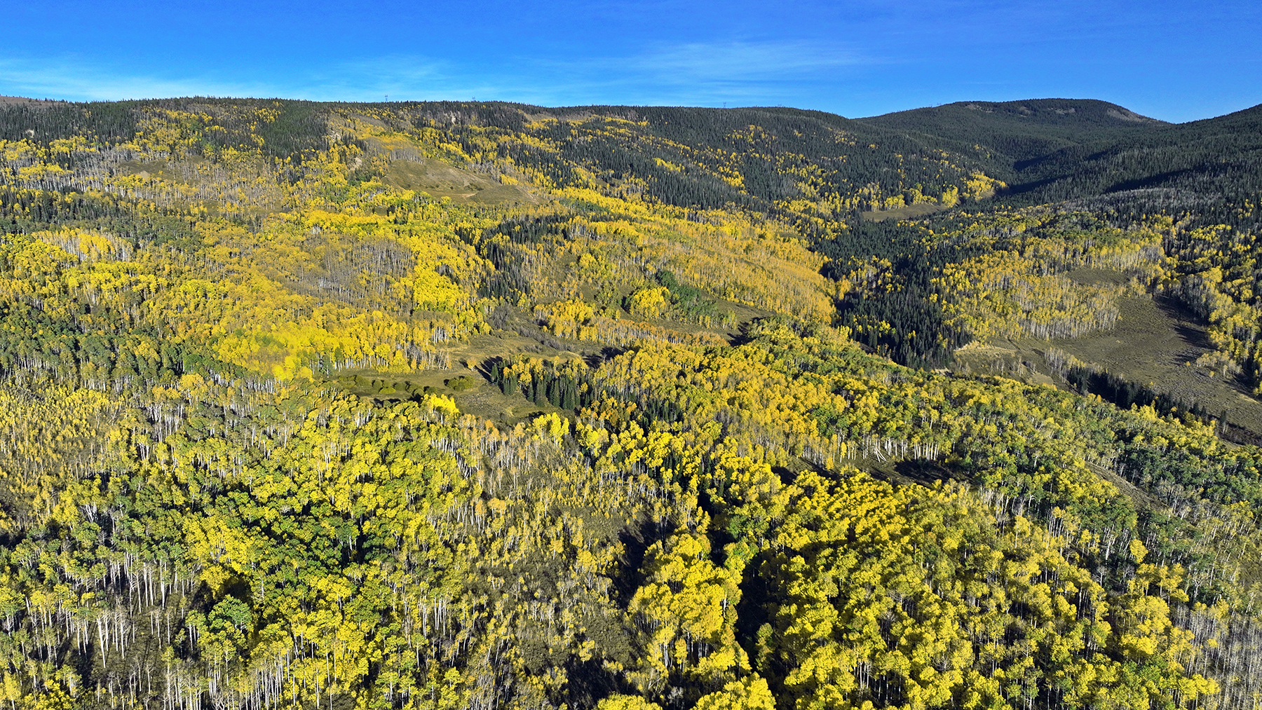 Eagle Rock Ranch property picture 16 of 67