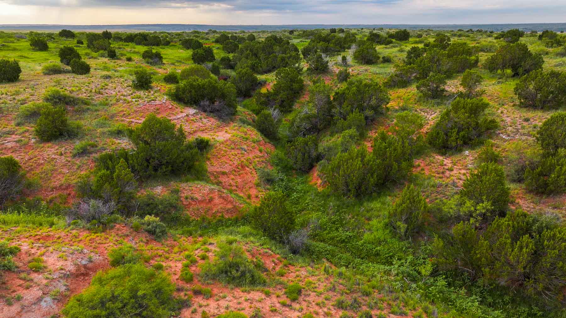 River View Ranch property picture 14 of 44