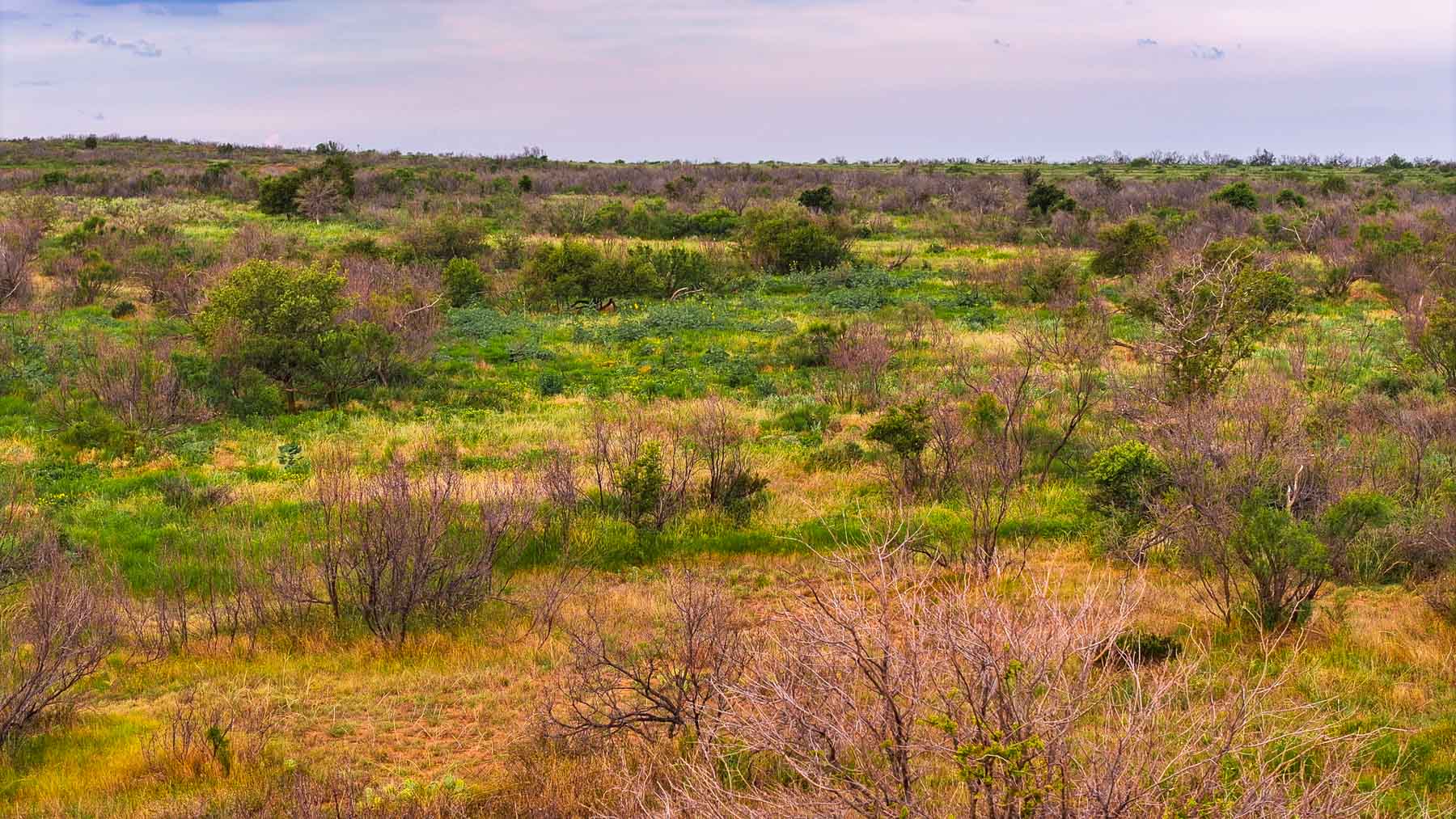 River View Ranch property picture 35 of 44