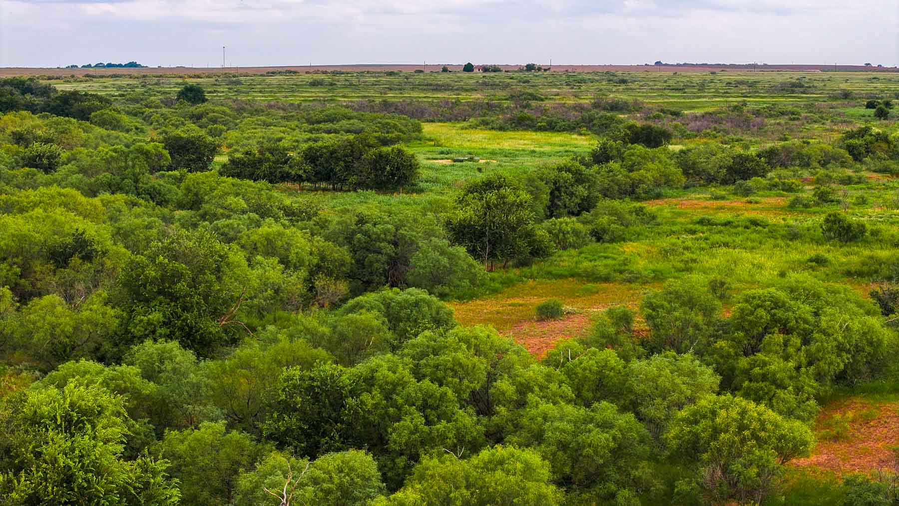 River View Ranch property picture 38 of 44