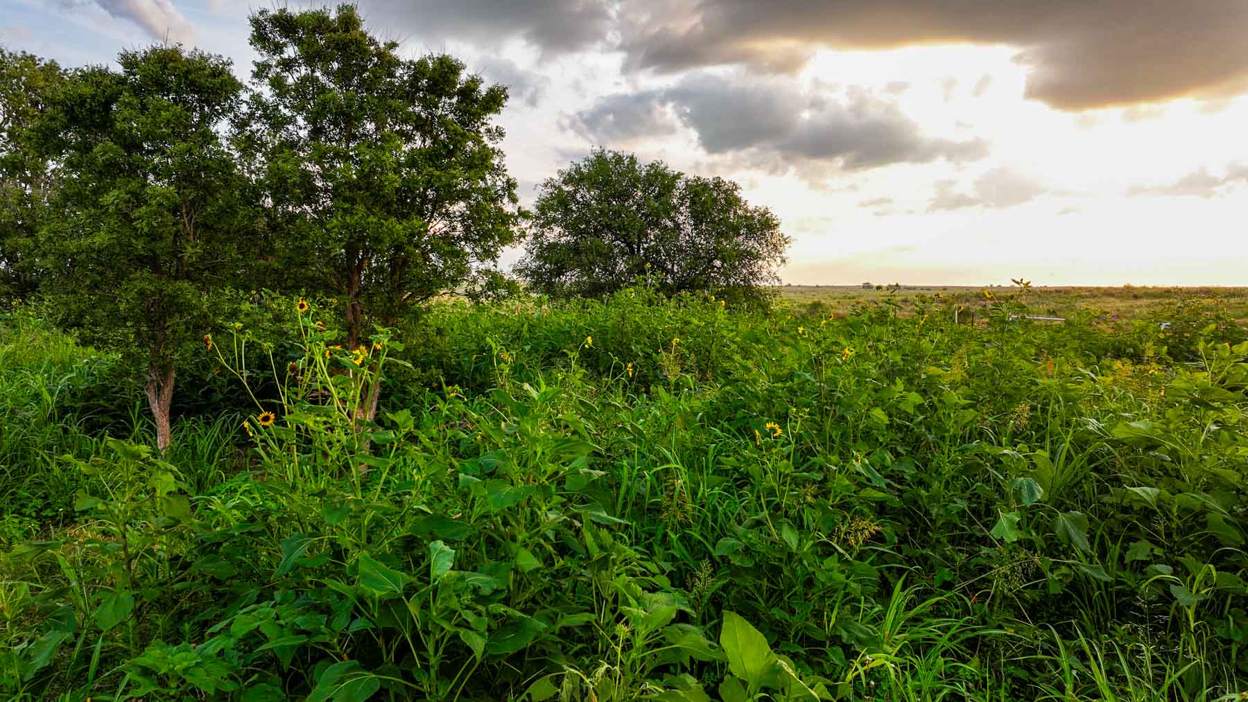 River View Ranch property picture 6 of 44
