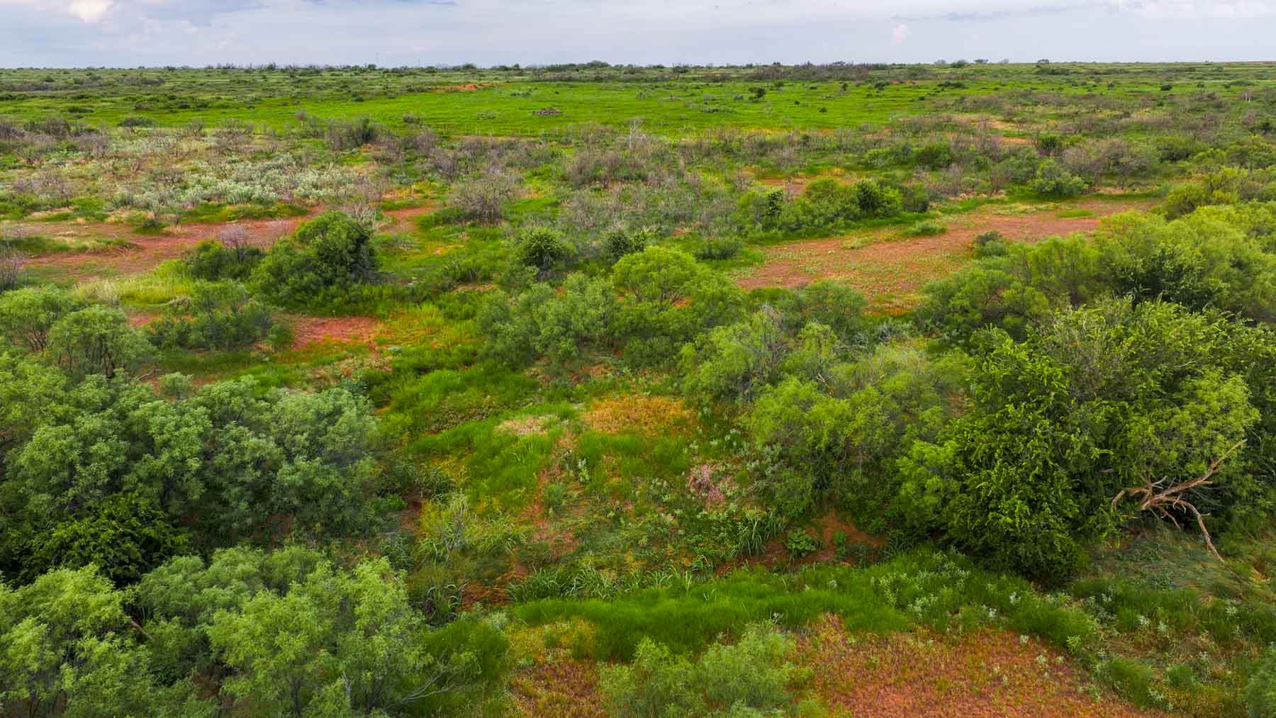 River View Ranch property picture 22 of 44