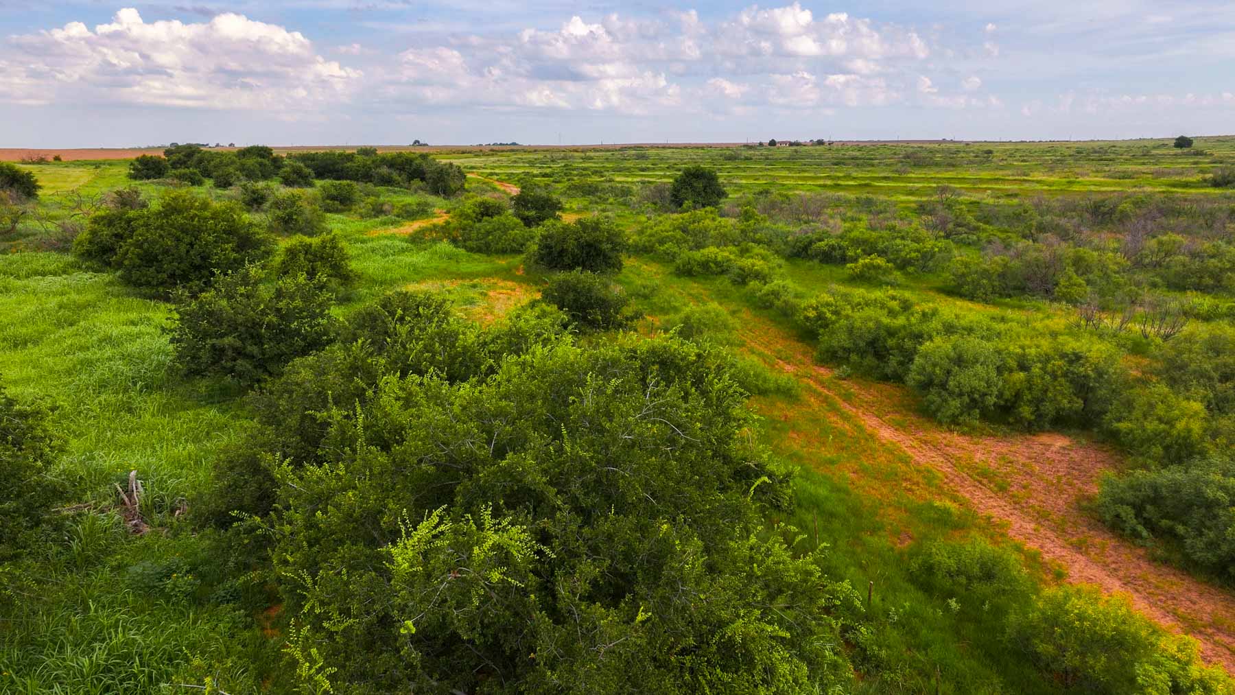 River View Ranch property picture 41 of 44