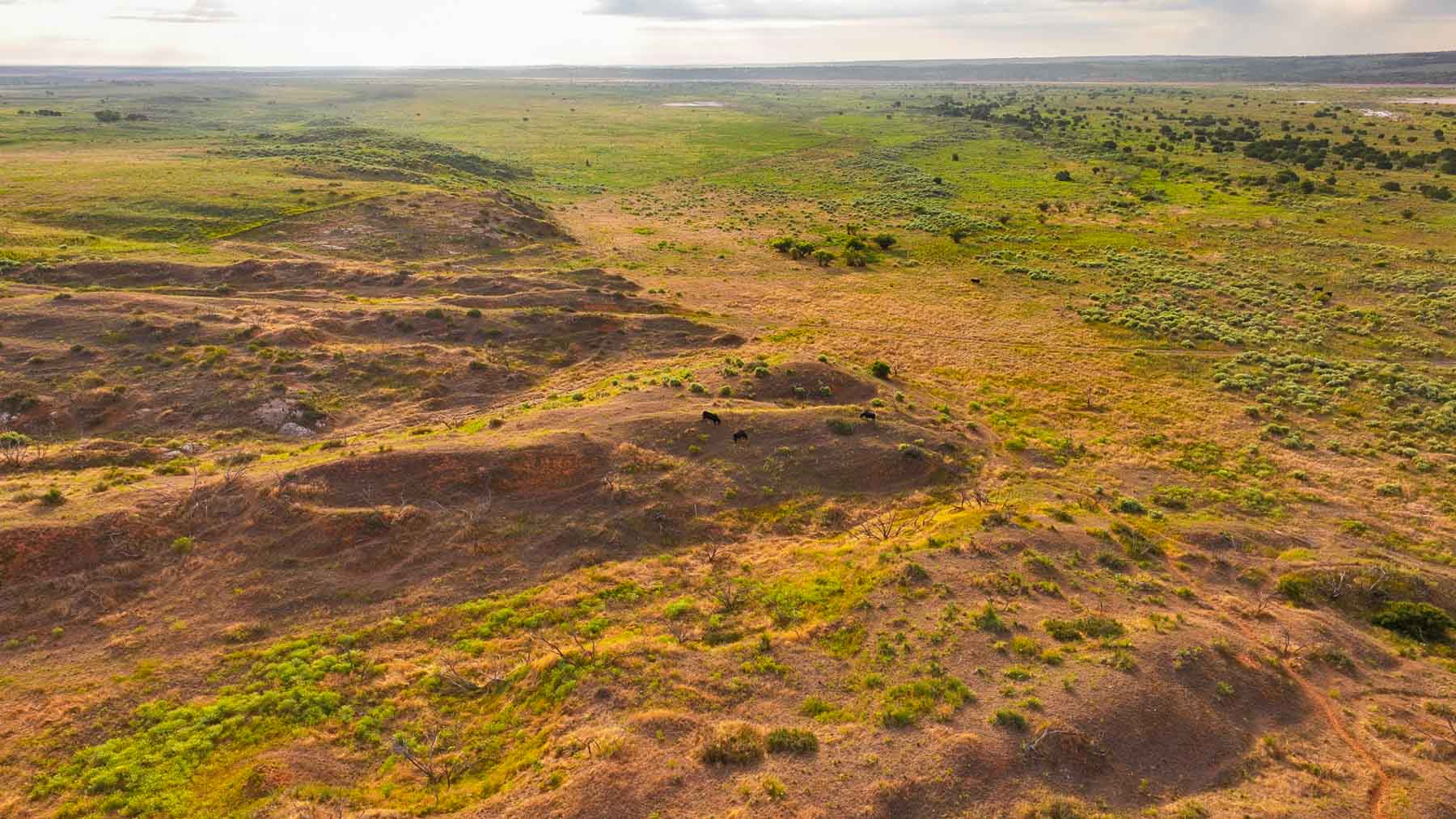 River View Ranch property picture 18 of 44