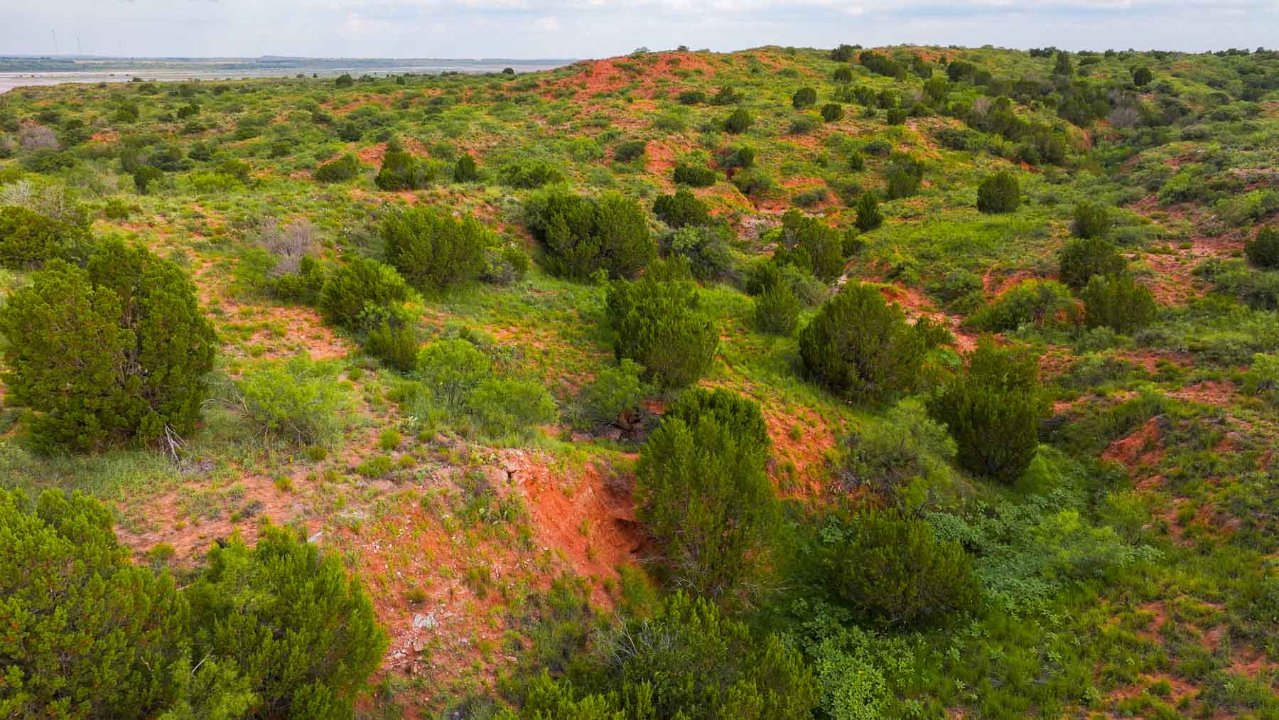 River View Ranch property picture 19 of 44