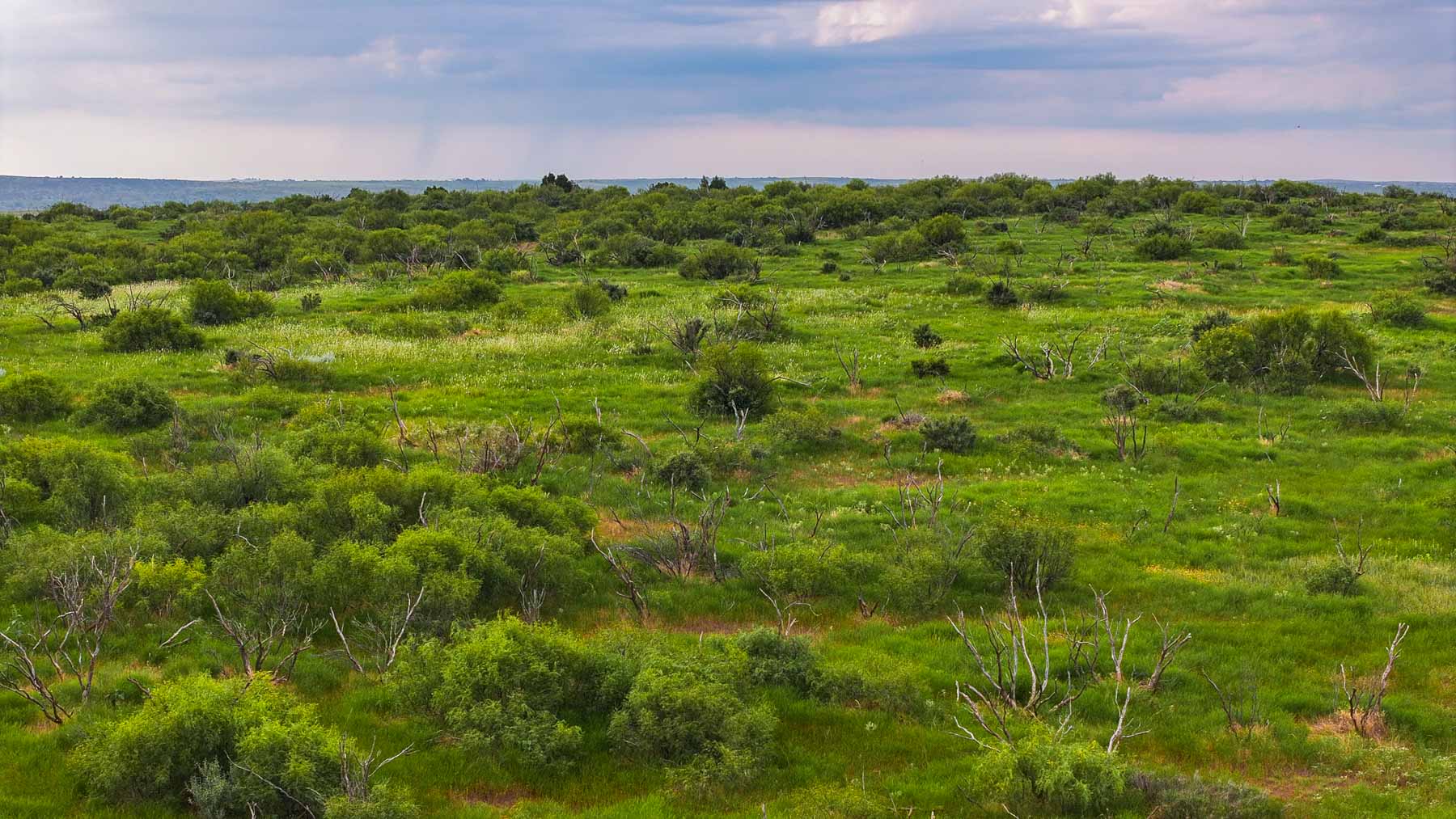 River View Ranch property picture 40 of 44