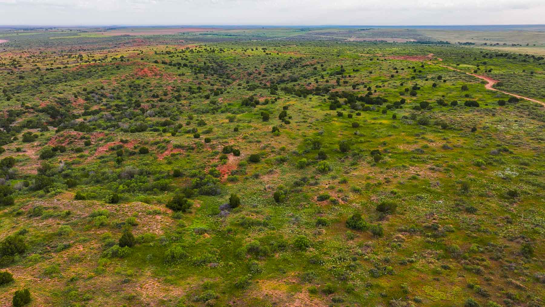 River View Ranch property picture 15 of 44