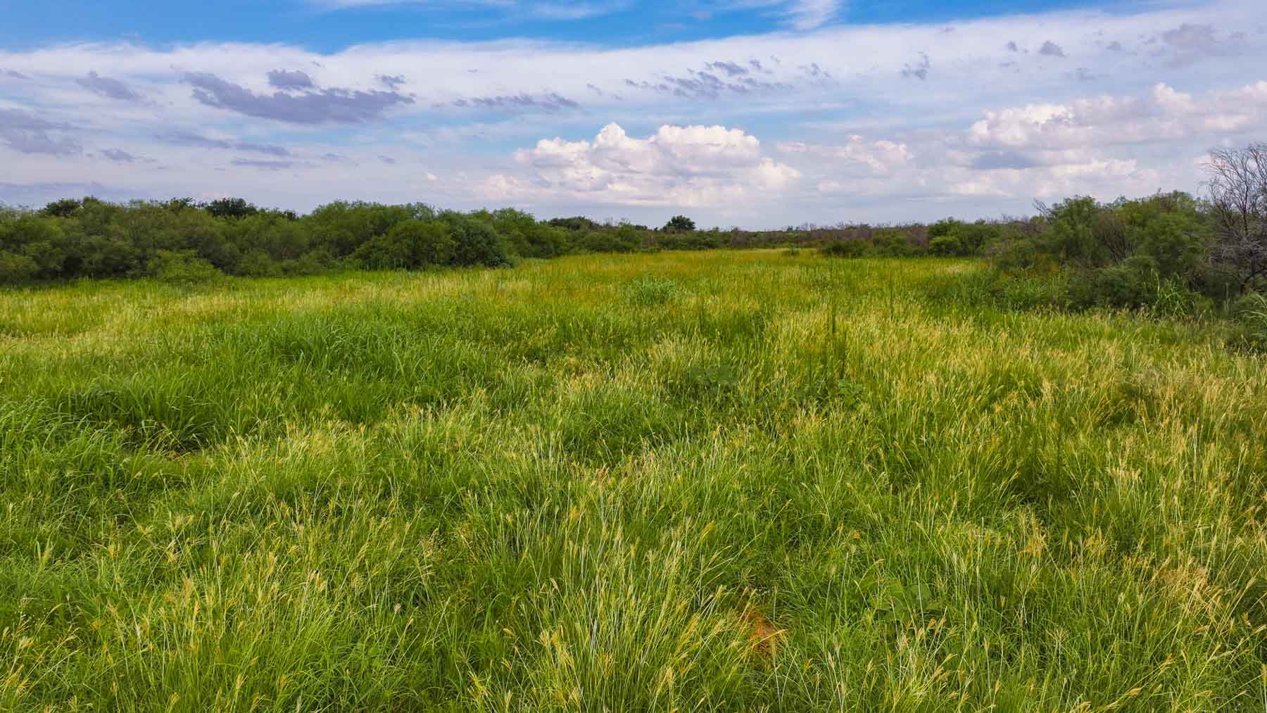 River View Ranch property picture 24 of 44