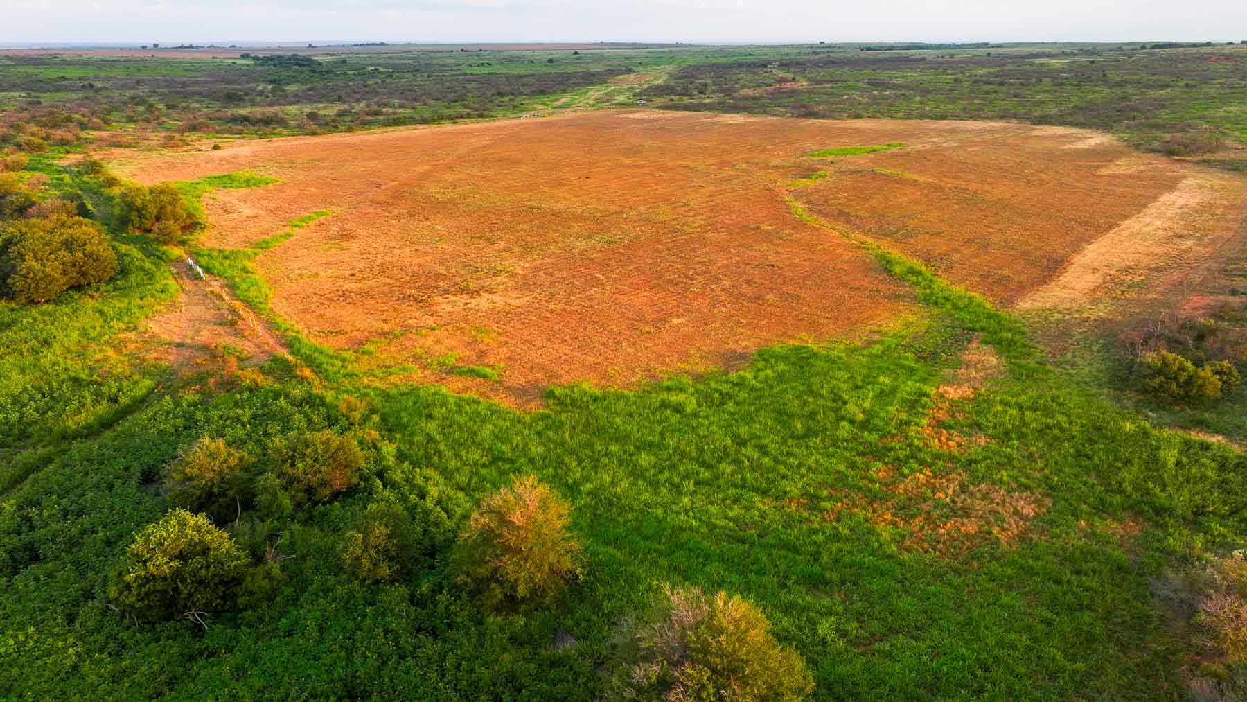 River View Ranch property picture 11 of 44