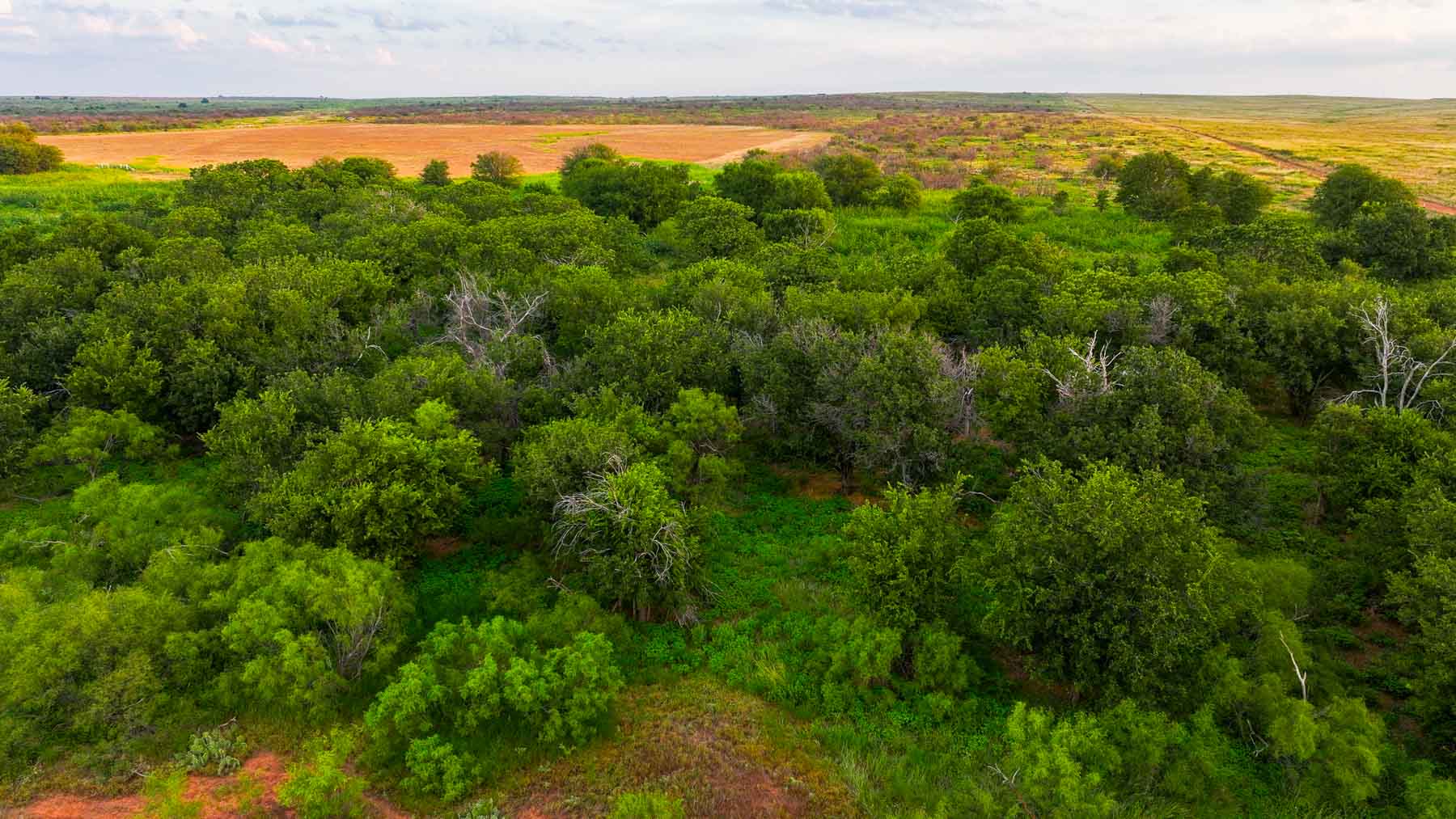 River View Ranch property picture 10 of 44