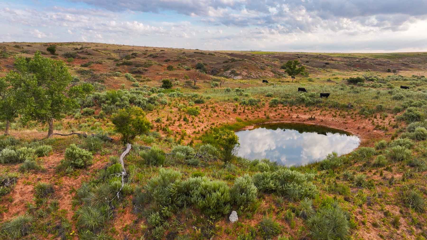 River View Ranch property picture 21 of 44