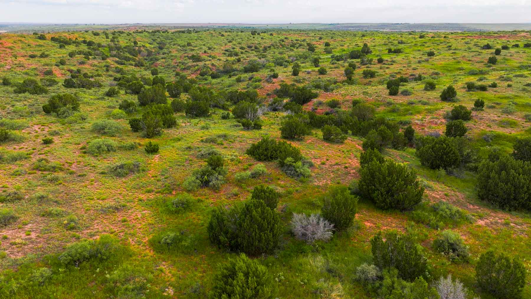 River View Ranch property picture 17 of 44