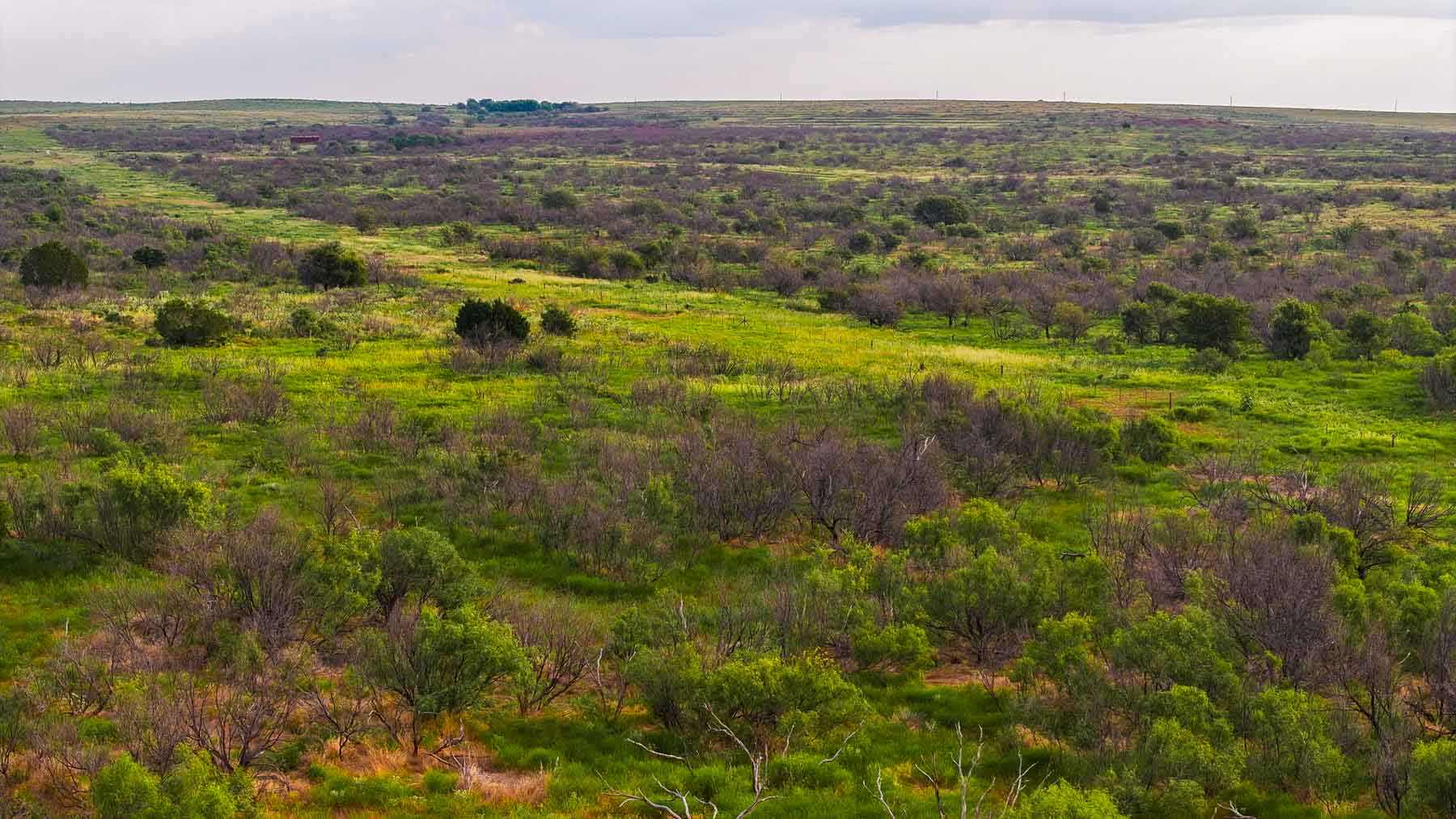 River View Ranch property picture 34 of 44