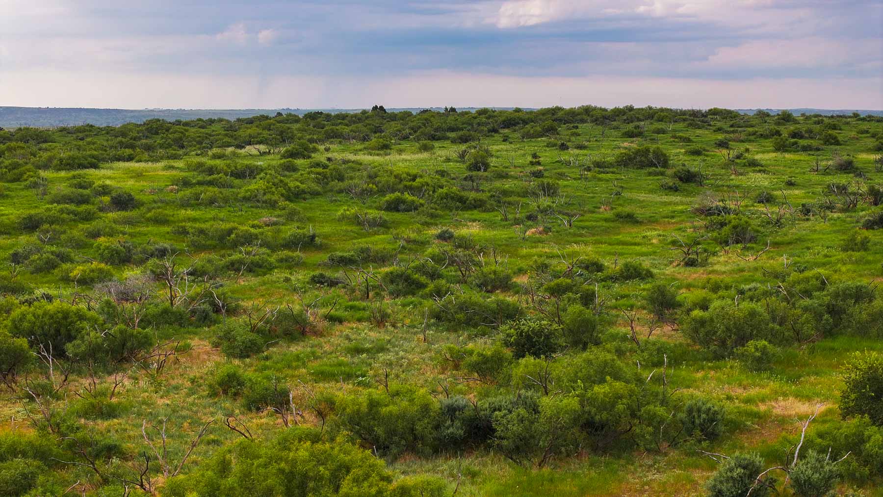 River View Ranch property picture 39 of 44