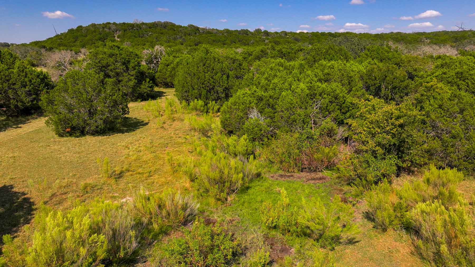 Tres Mesas Ranch property picture 79 of 91