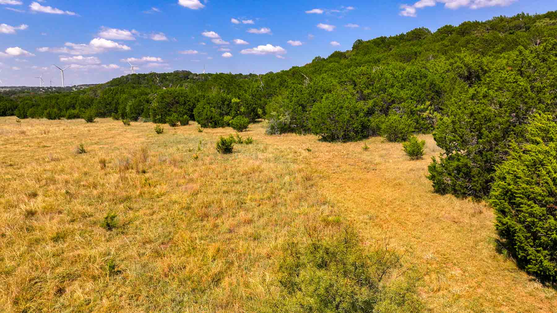 Tres Mesas Ranch property picture 39 of 91