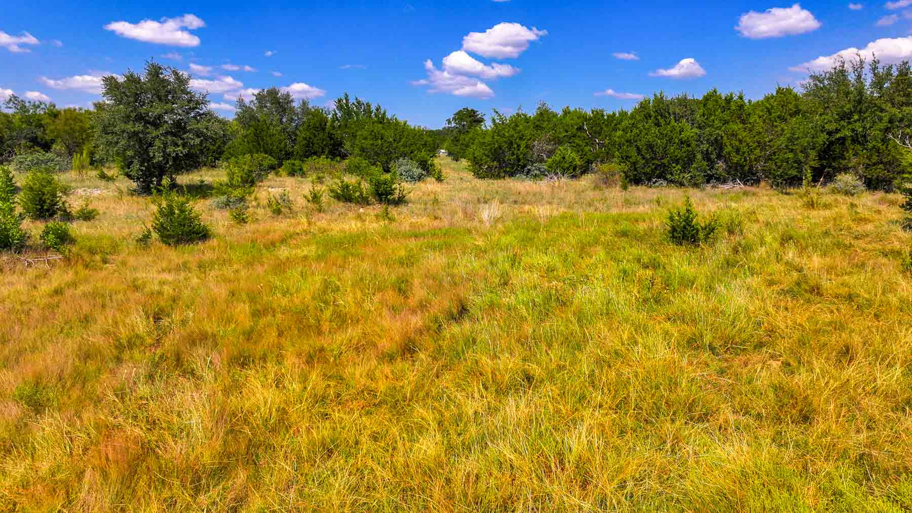 Tres Mesas Ranch property picture 28 of 91