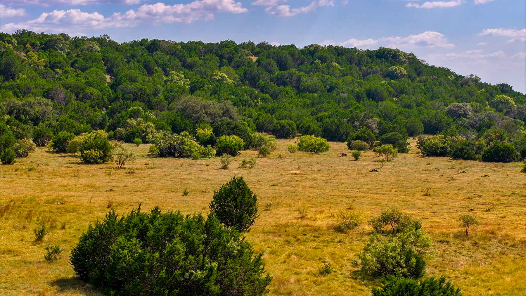 Tres Mesas Ranch property picture 65 of 91