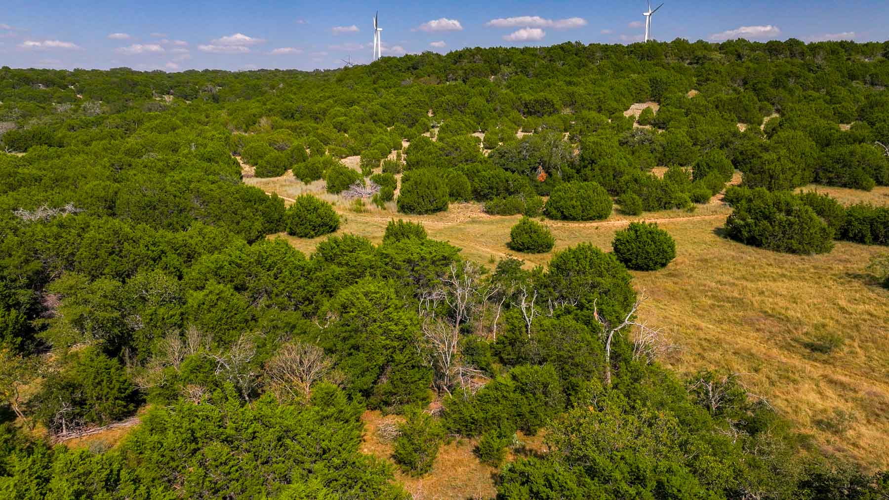 Tres Mesas Ranch property picture 82 of 91