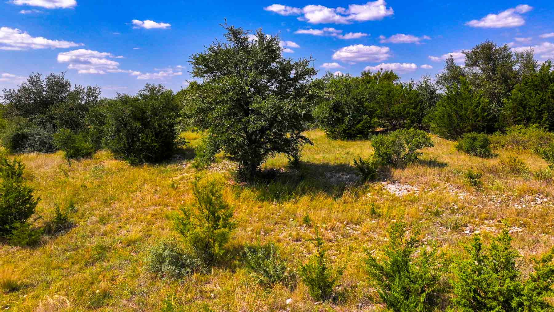 Tres Mesas Ranch property picture 29 of 91