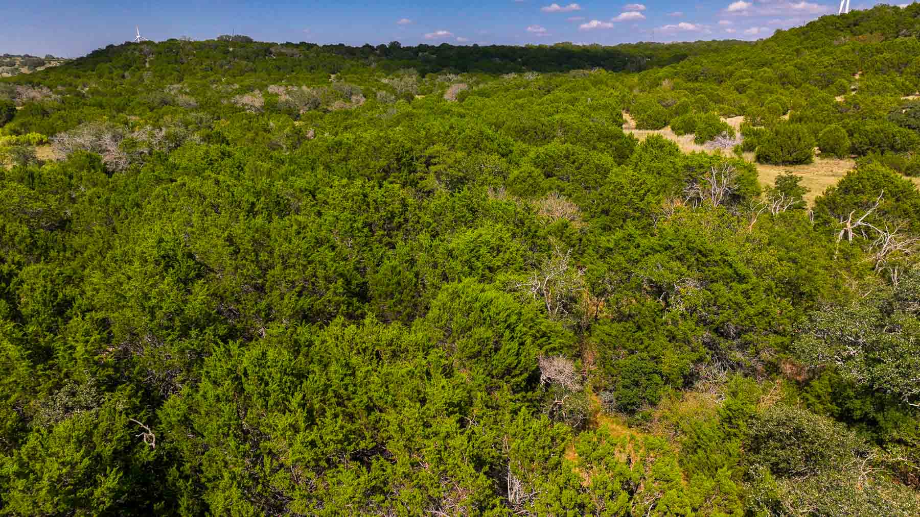 Tres Mesas Ranch property picture 76 of 91