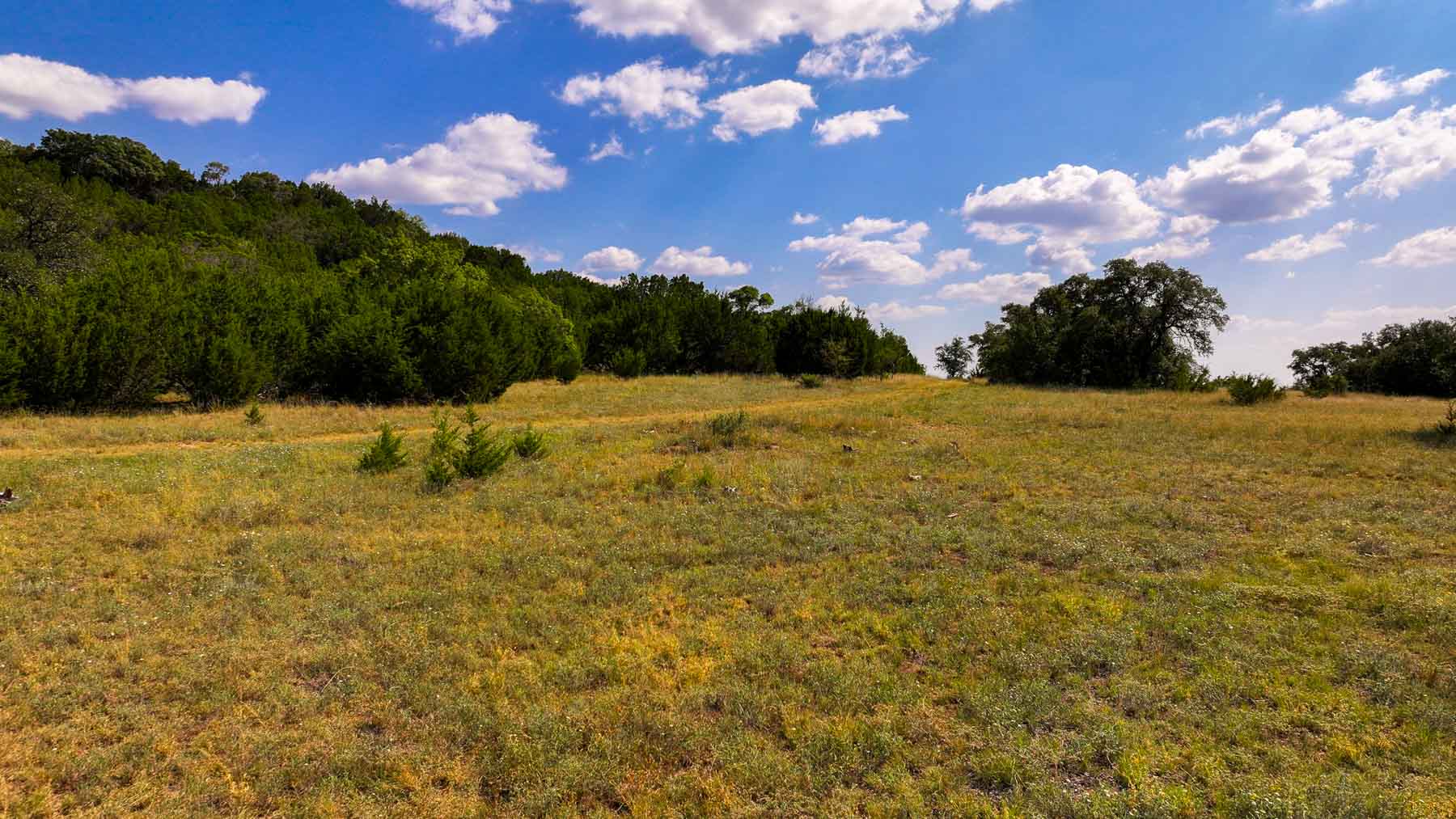 Tres Mesas Ranch property picture 90 of 91
