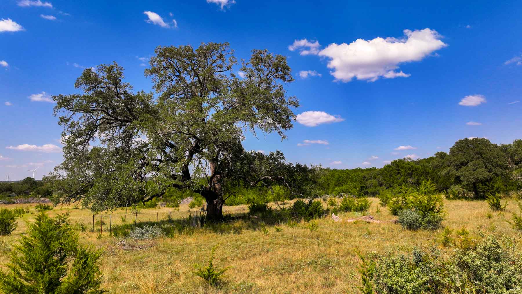 Tres Mesas Ranch property picture 43 of 91