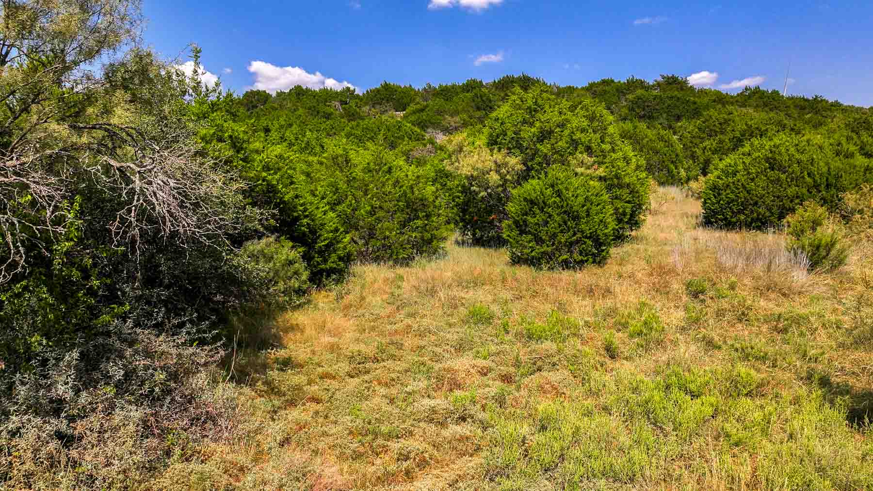 Tres Mesas Ranch property picture 88 of 91
