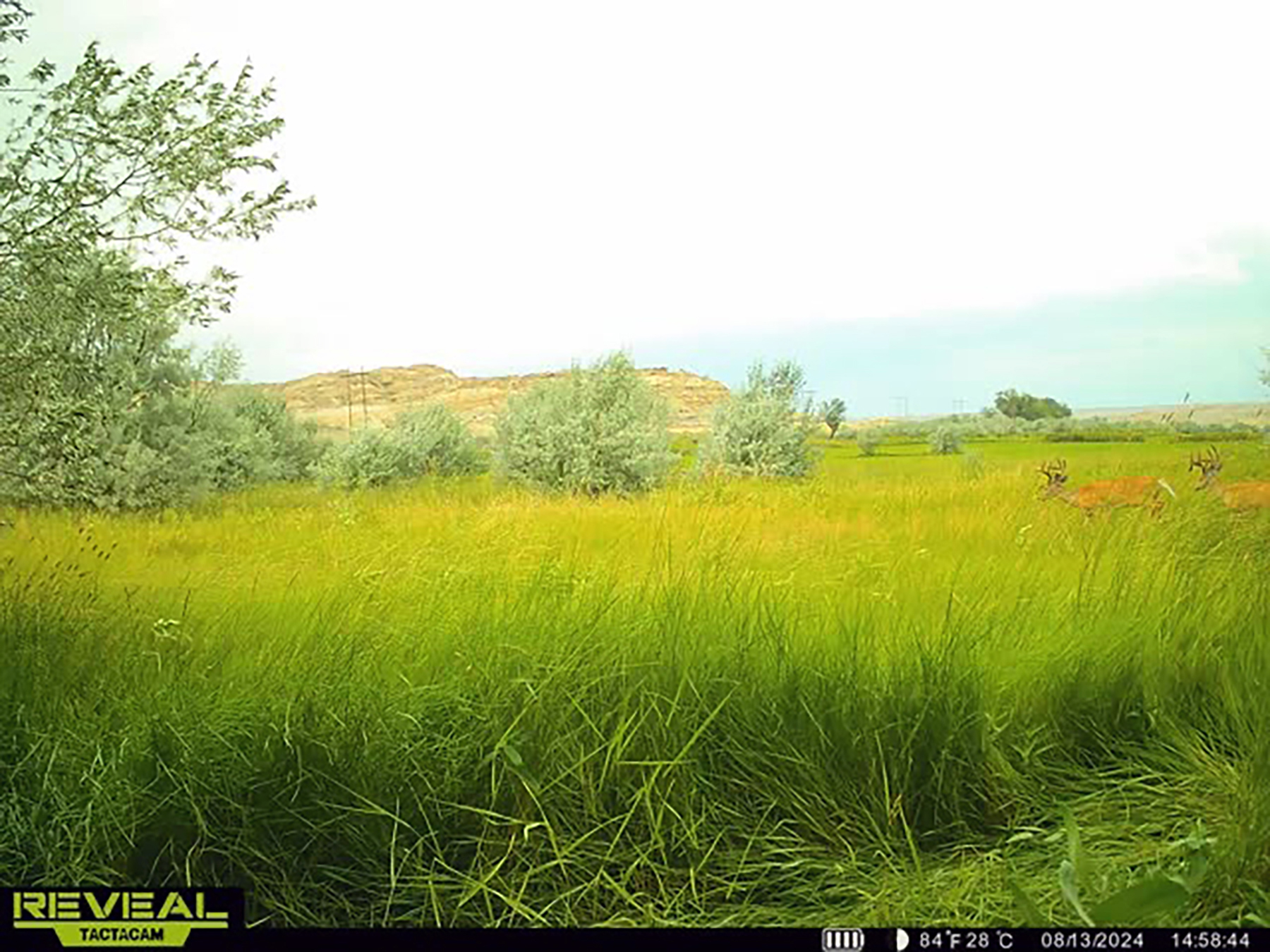 Mononi Flats property picture 15 of 20