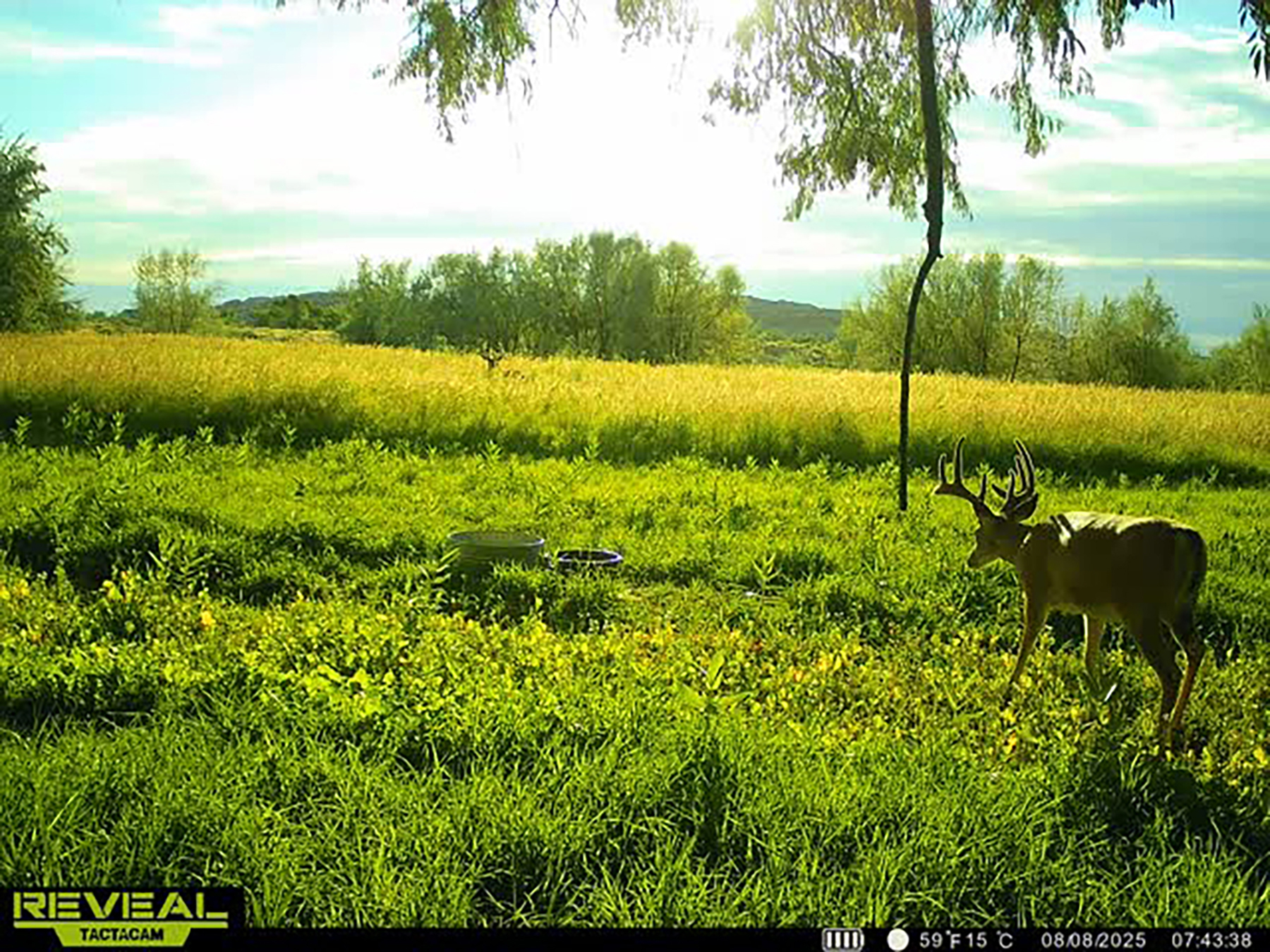 Mononi Flats property picture 14 of 20