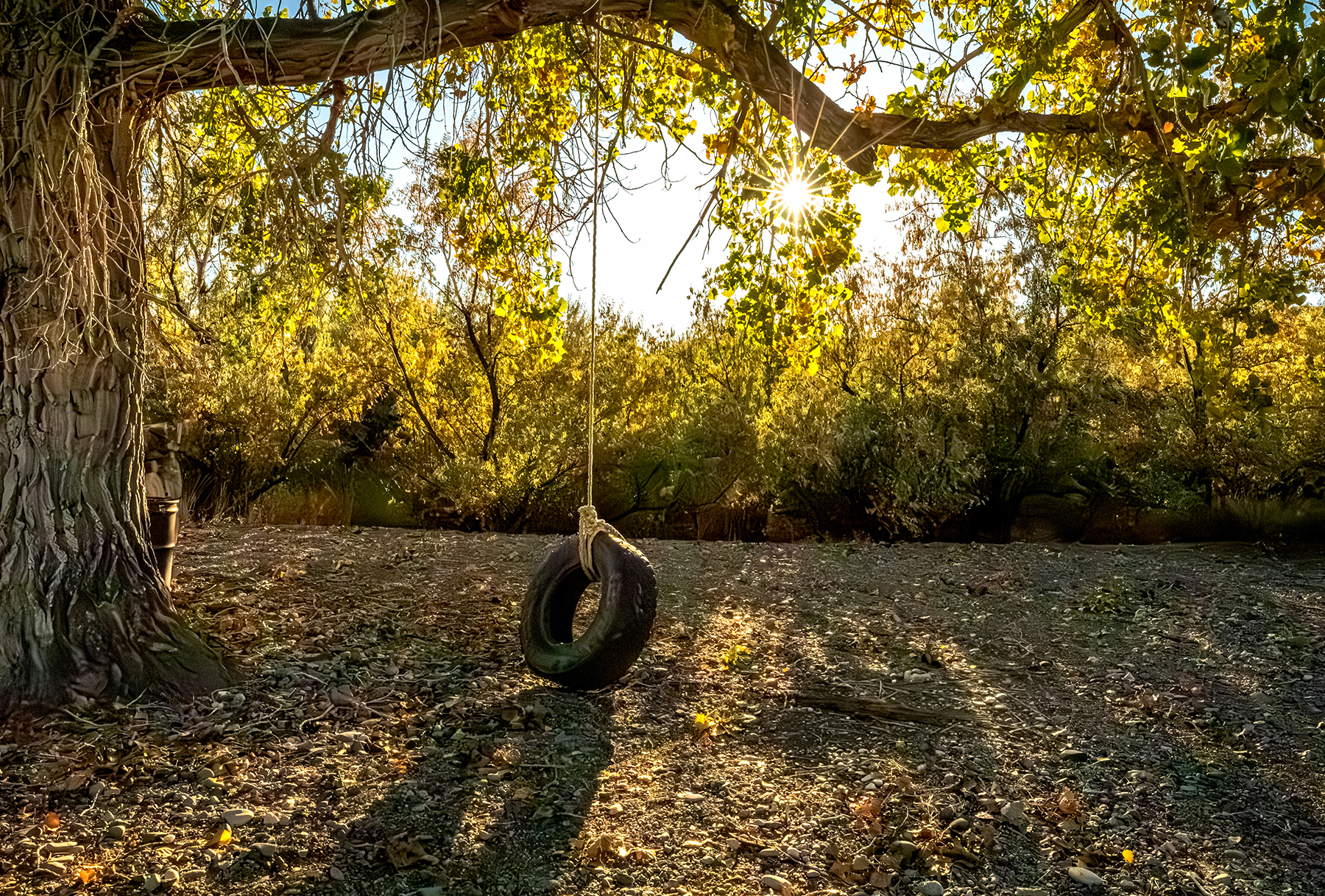 Mononi Flats property picture 13 of 20